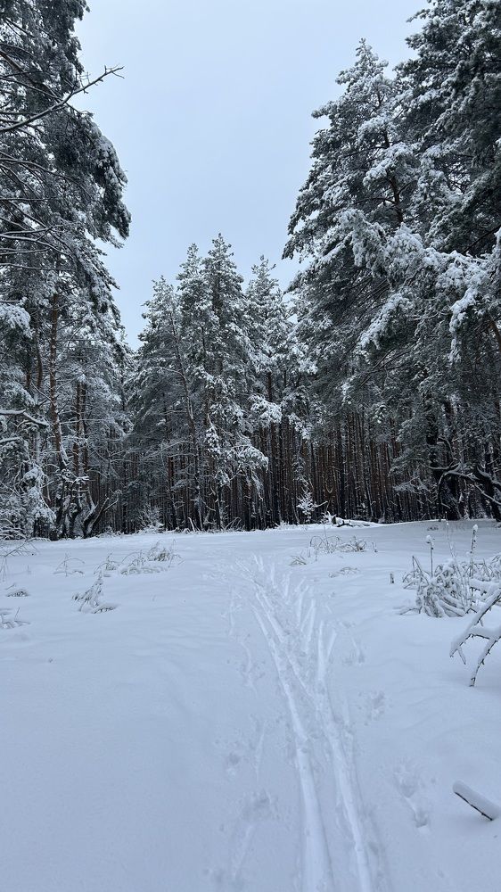 Photograph by Елена Гущина