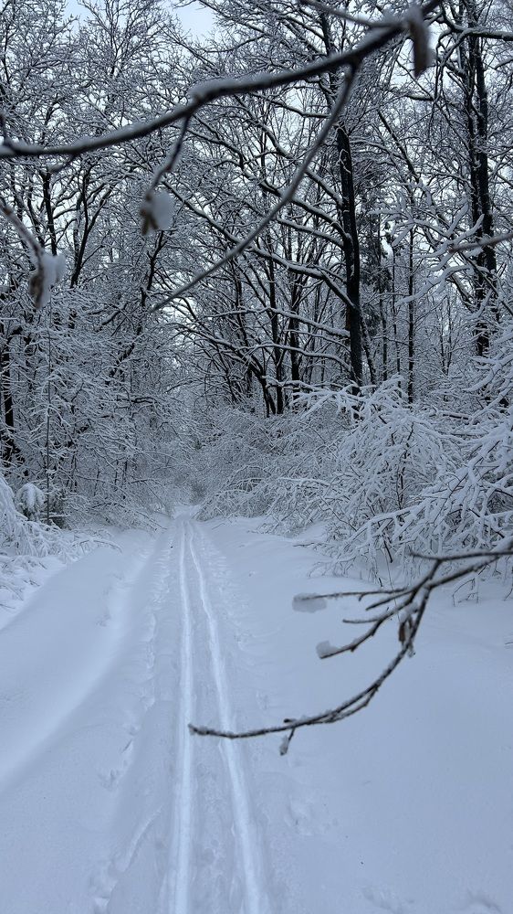 Photograph by Елена Гущина