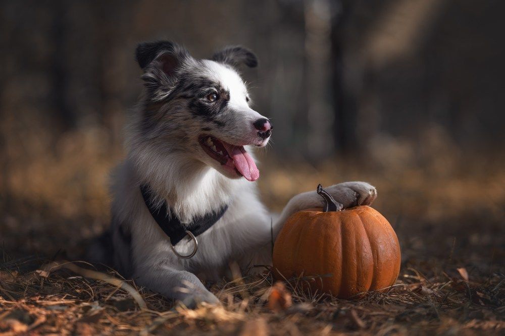Photograph by Анастасия Жучкова