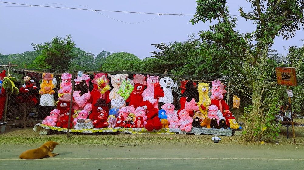 Photograph by Rajesh Sheth