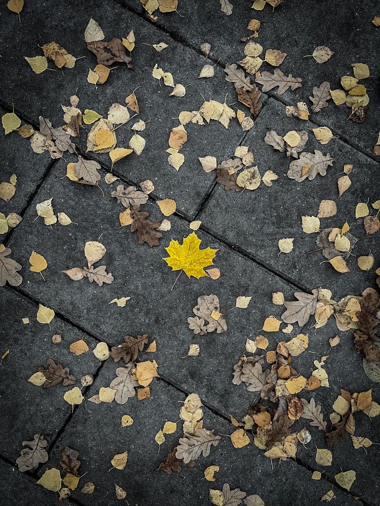 Photograph by Дмитрий Костяков