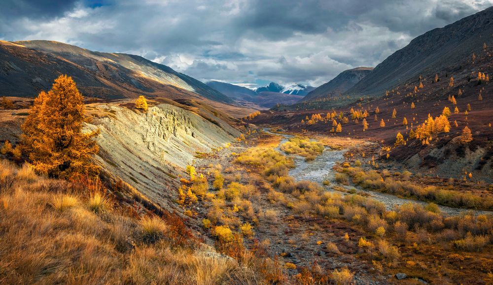 Photograph by Lora Pavlova