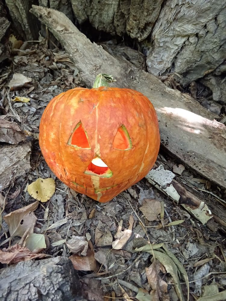 Photograph by Евгения Горячева