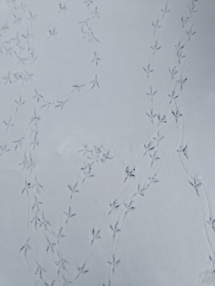 Photograph by Карина Слабкая