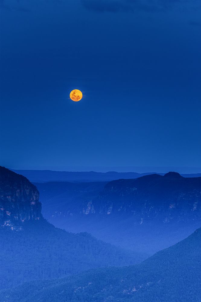 Photograph by Fascinating Imagery