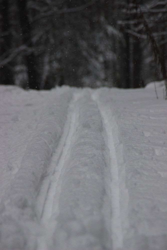 Photograph by Leanid Kulpo