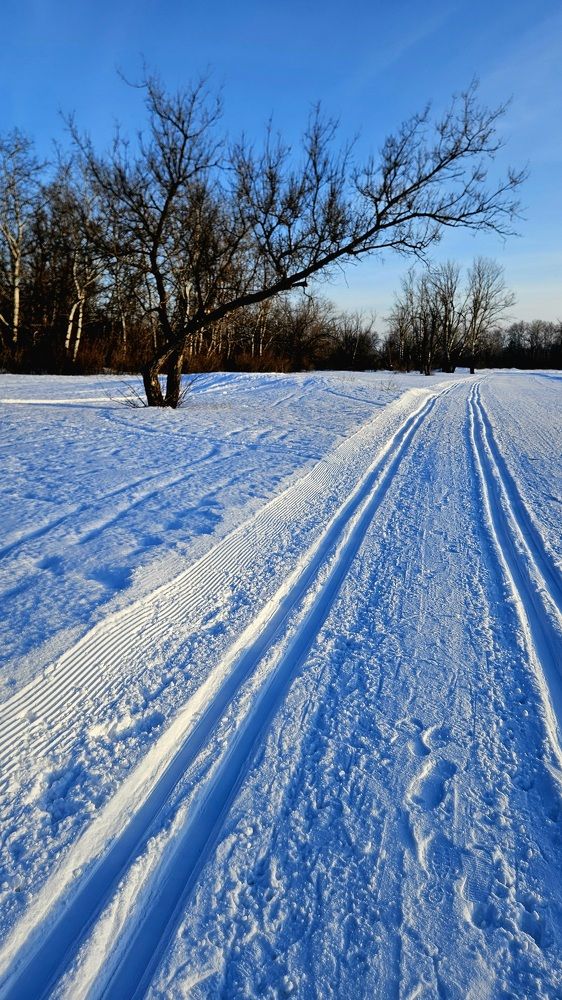 Photograph by Наталья Анисимова