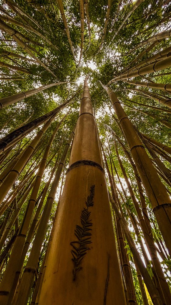 Photograph by Евгений Фисун