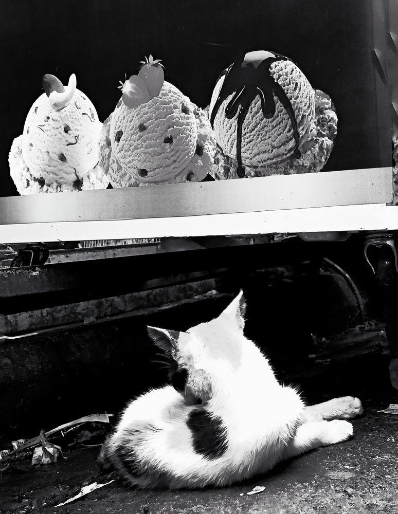 Icecream