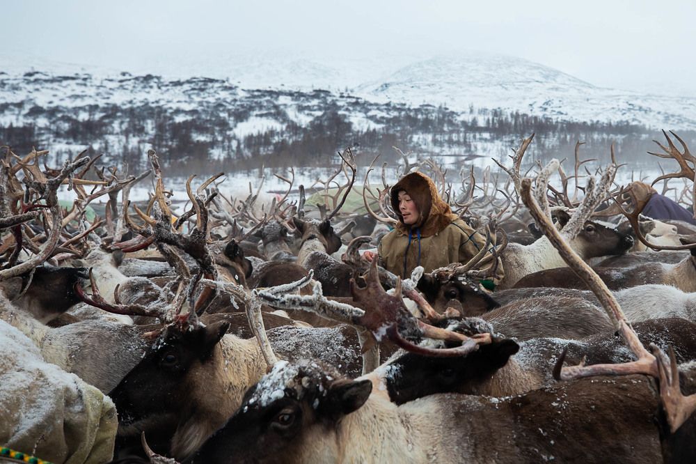 Фотография автора Марина Маликова