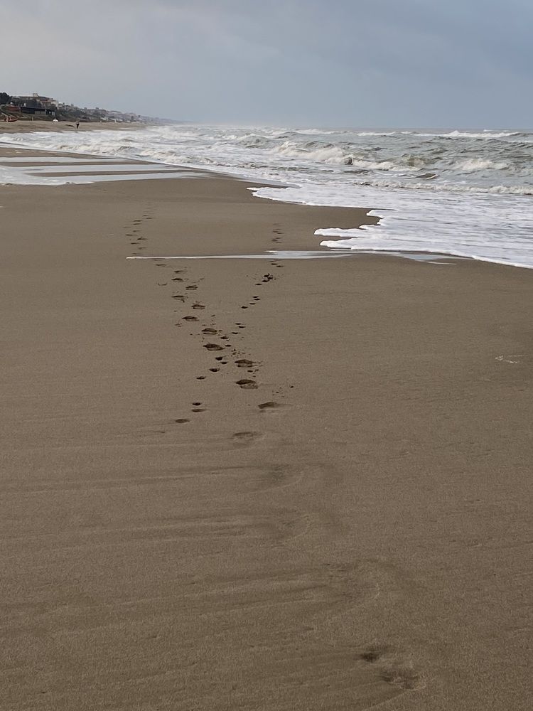 Фотография автора Ольга Полякова