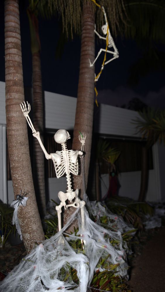 Photograph by Johan Koch