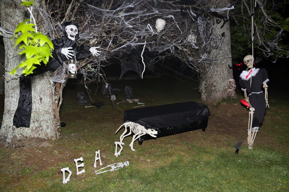 Photograph by Johan Koch