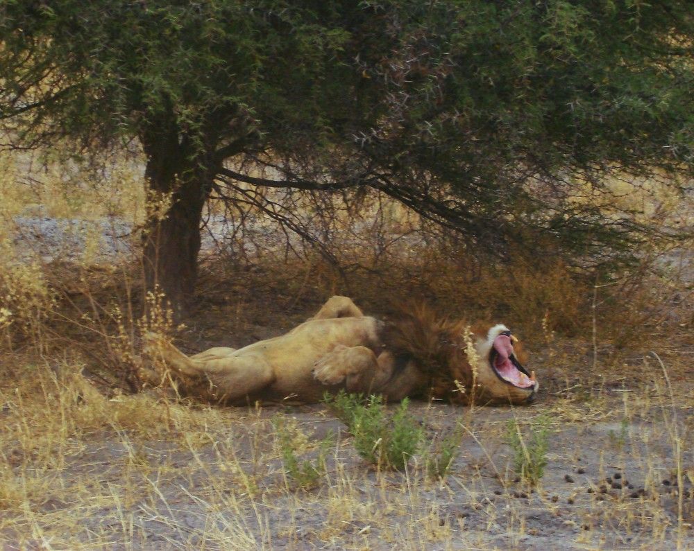 Photograph by Ирина Орлова