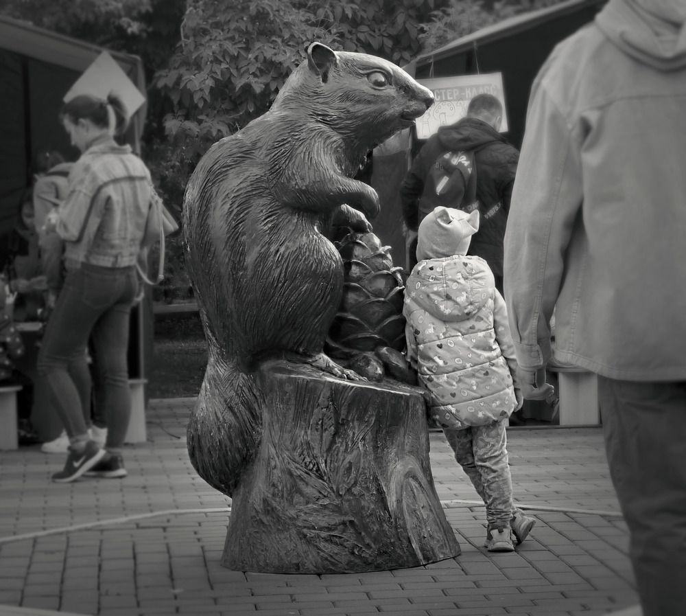 Photograph by 