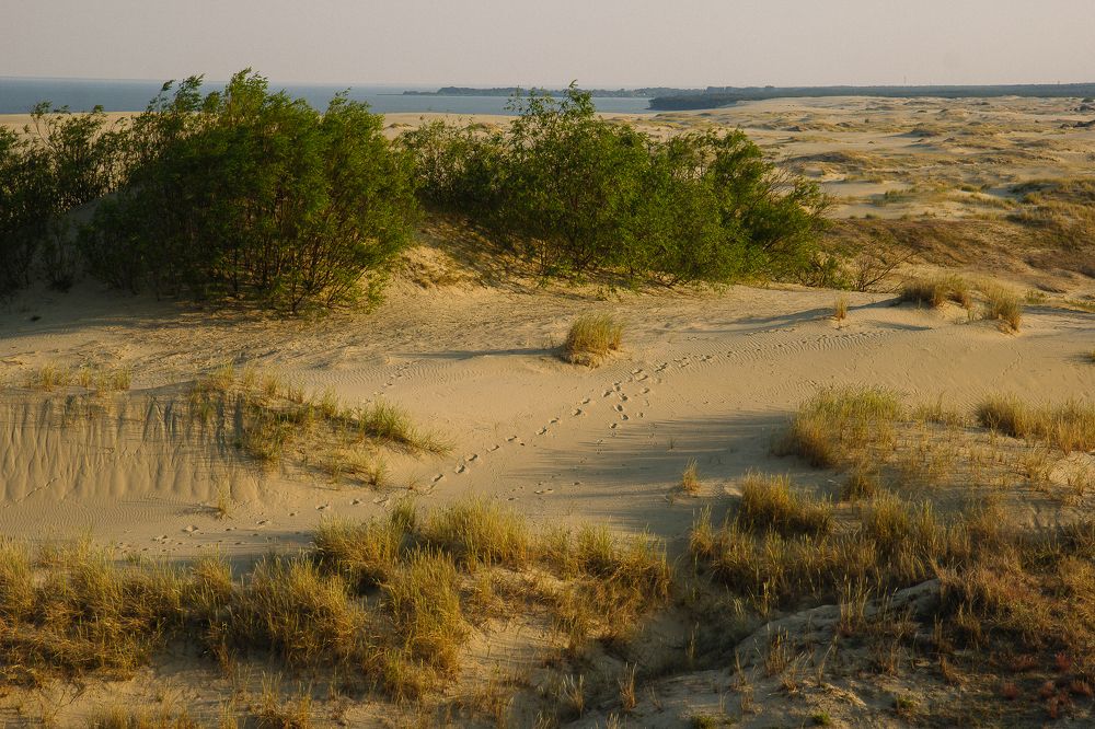 Photograph by Екатерина Максимова