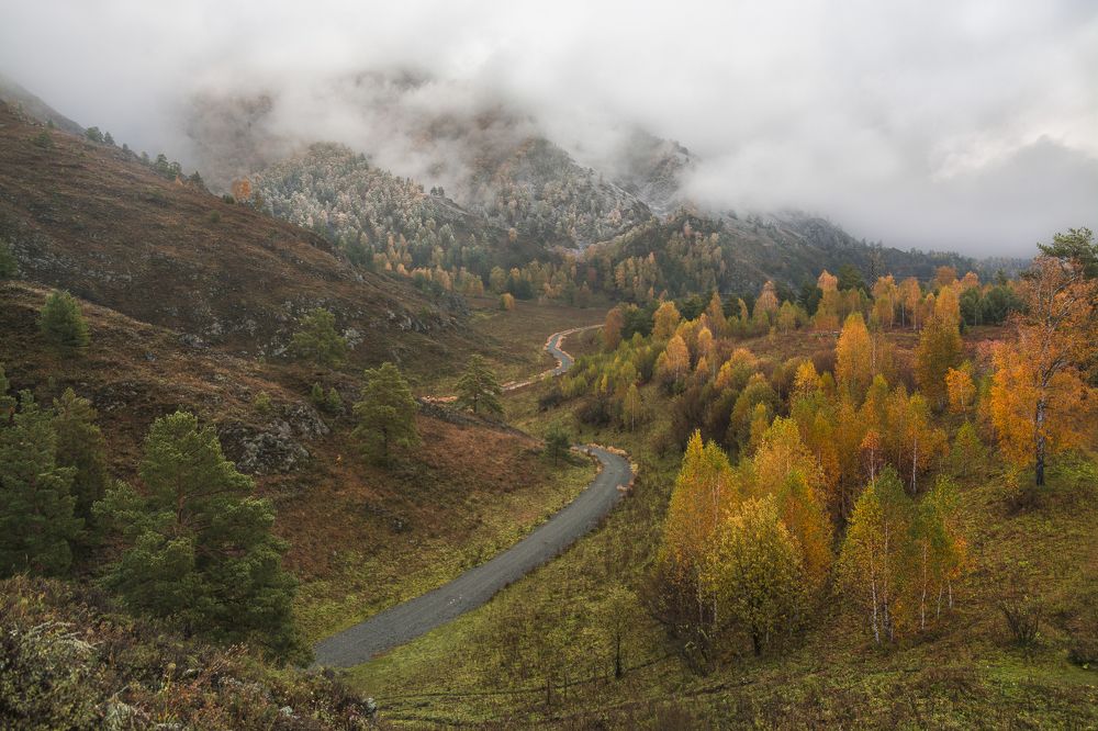 Осеннее утро