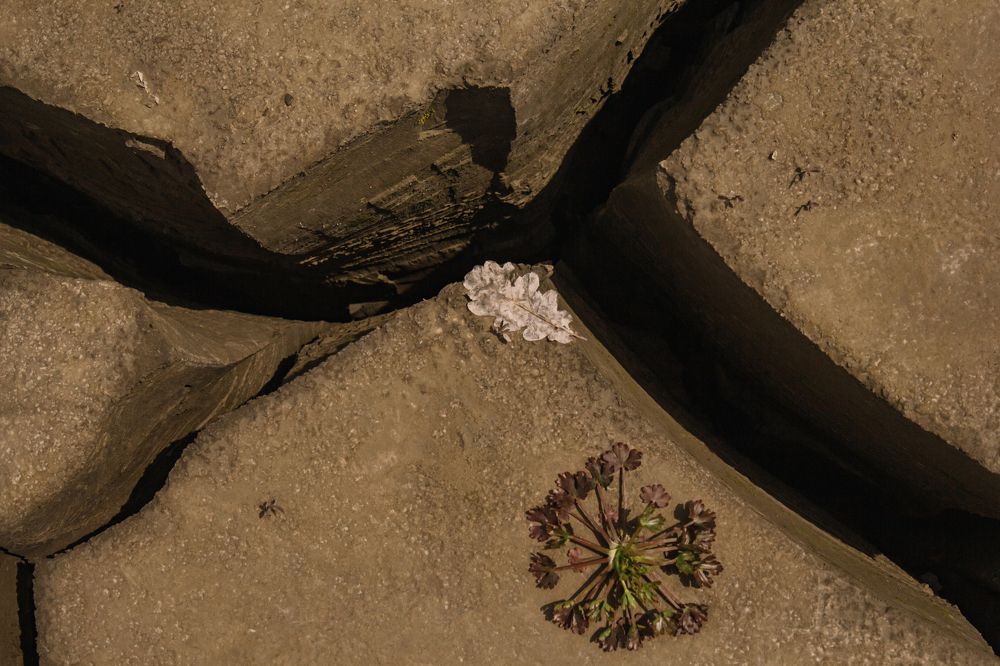 Photograph by Екатерина Максимова