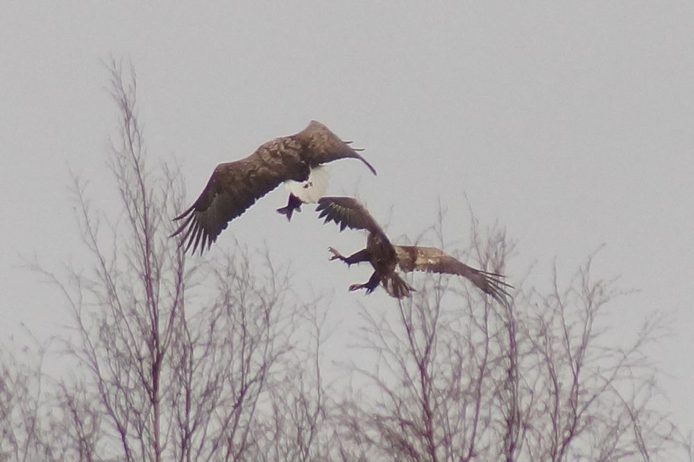 Фотография автора Jevgeni Filimonov