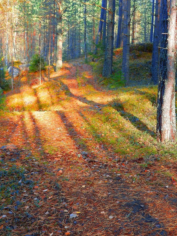 Фотография автора Jevgeni Filimonov