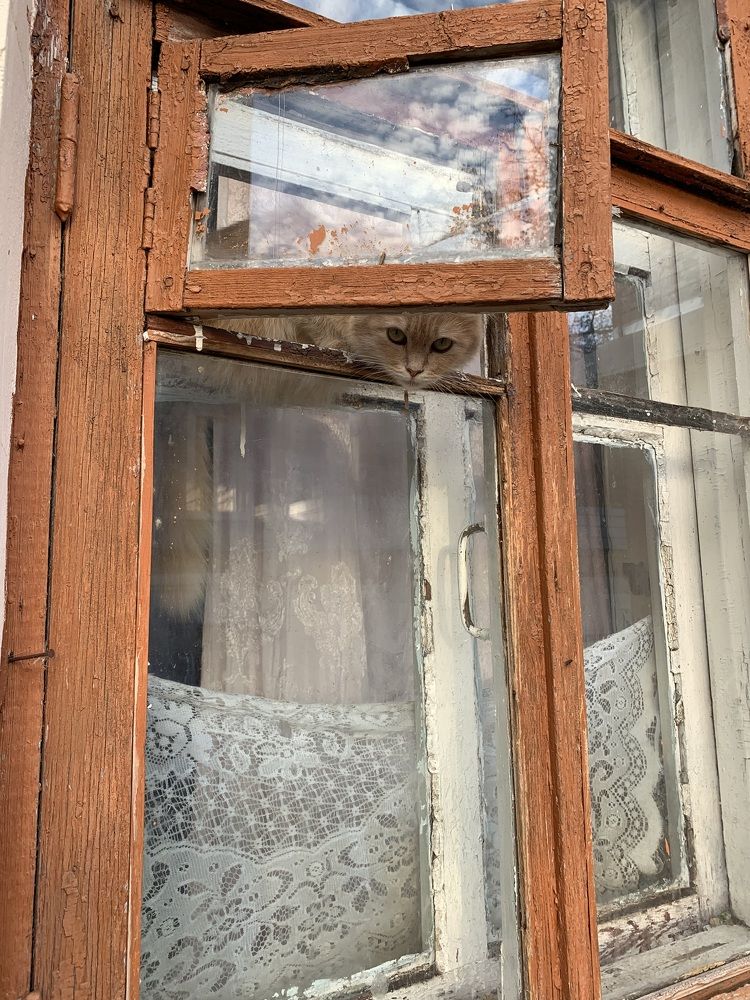 Полный контроль территории