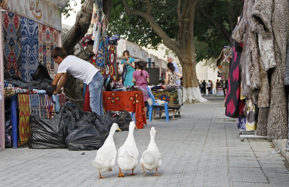 Photograph by Jamshed Shoev