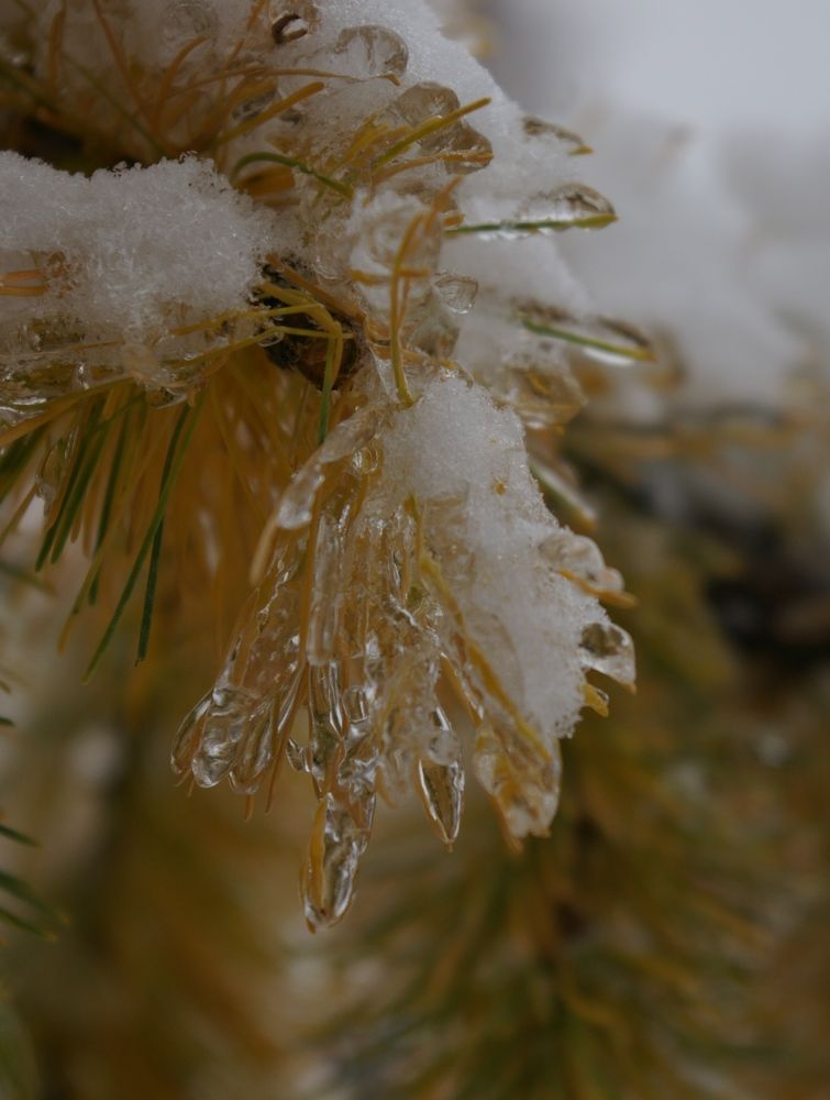 Photograph by Елена Алешкевич