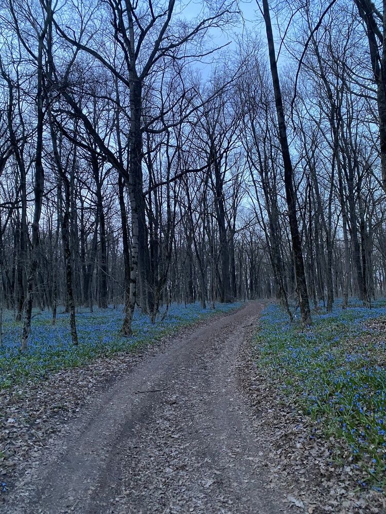 Фотография автора Виктория Зеленкова