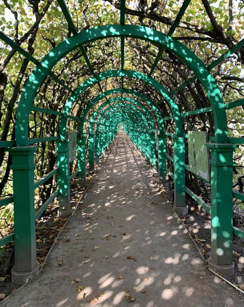 Photograph by Игорь Ребров