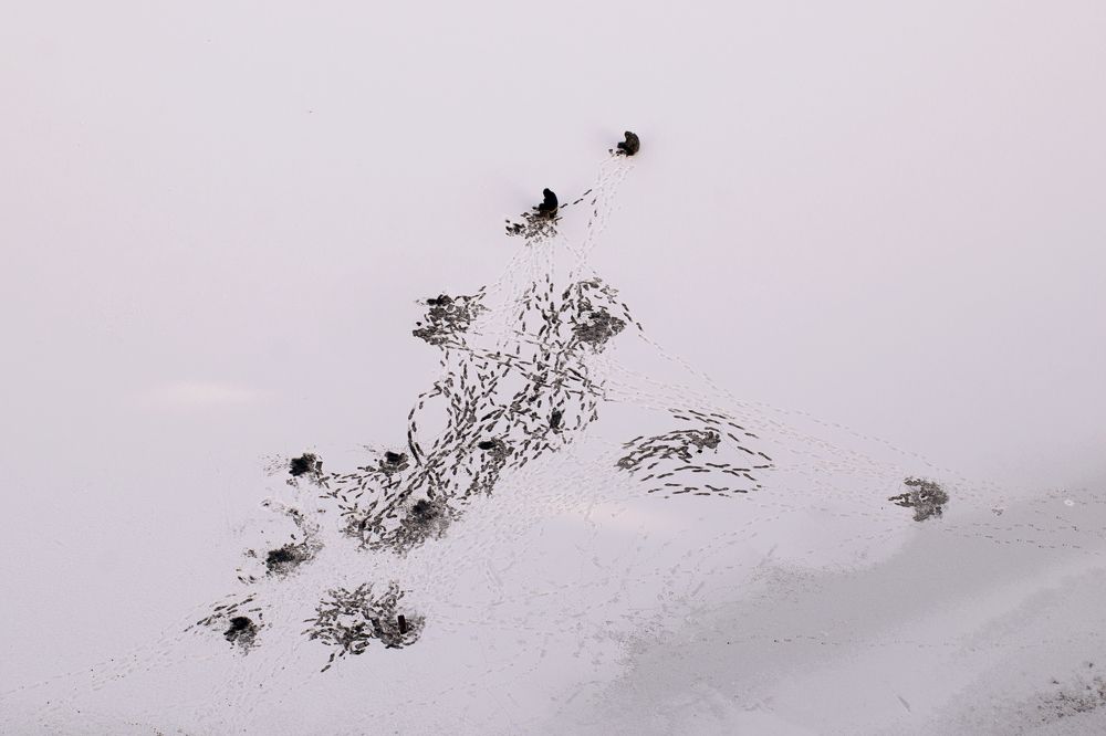 Photograph by Елена Марьюшкина