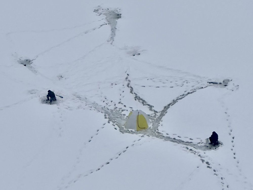 Единомышленники