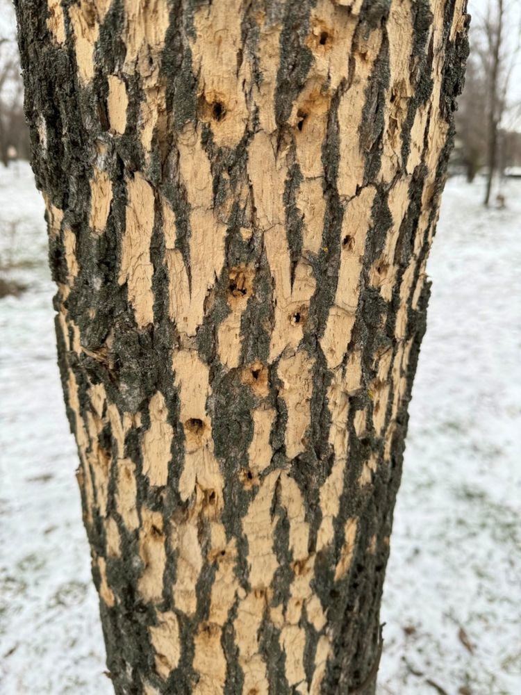 Фотография автора Виктория Зеленкова