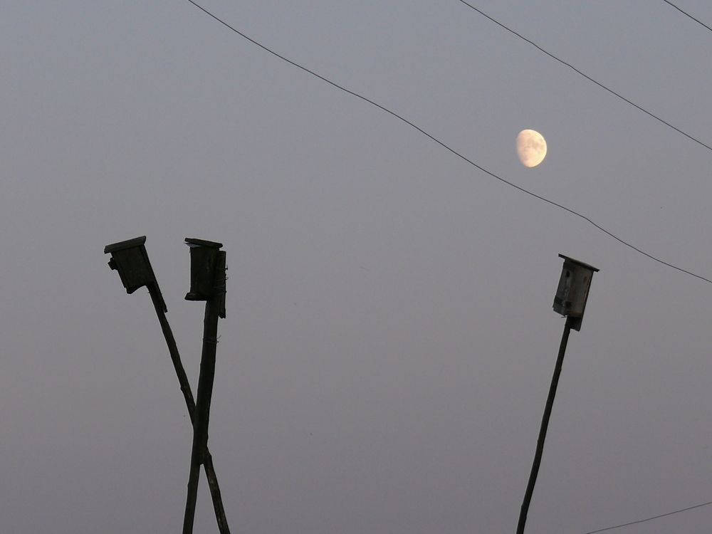 Photograph by Елена Март