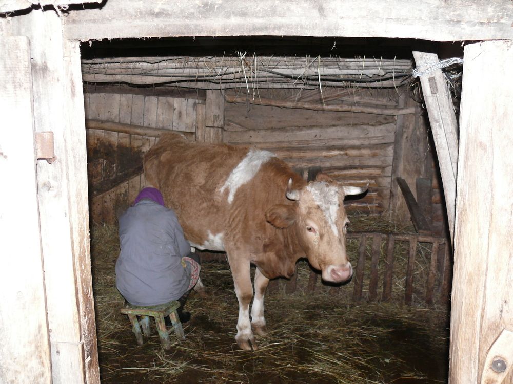 Photograph by Елена Март