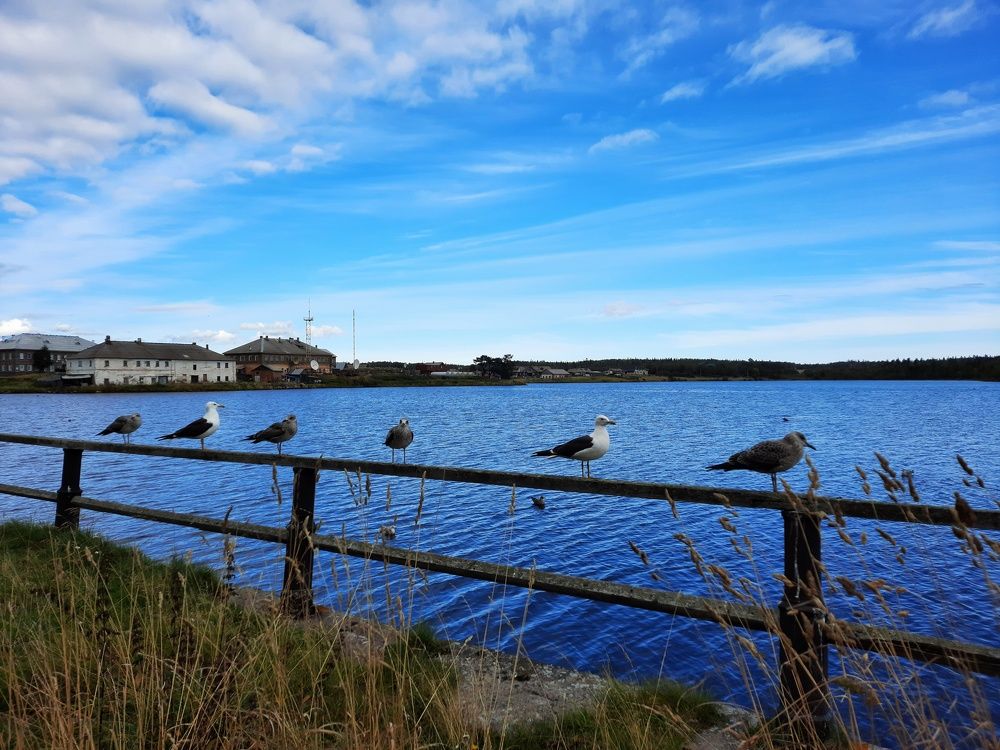 Photograph by Елена Март