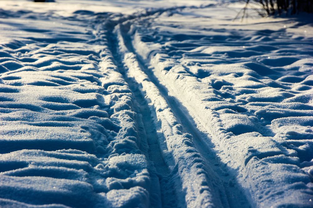 Photograph by Владимир Сушкин