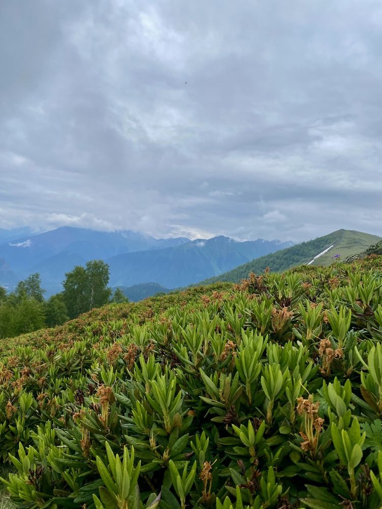 Photograph by Марианна Дзюба