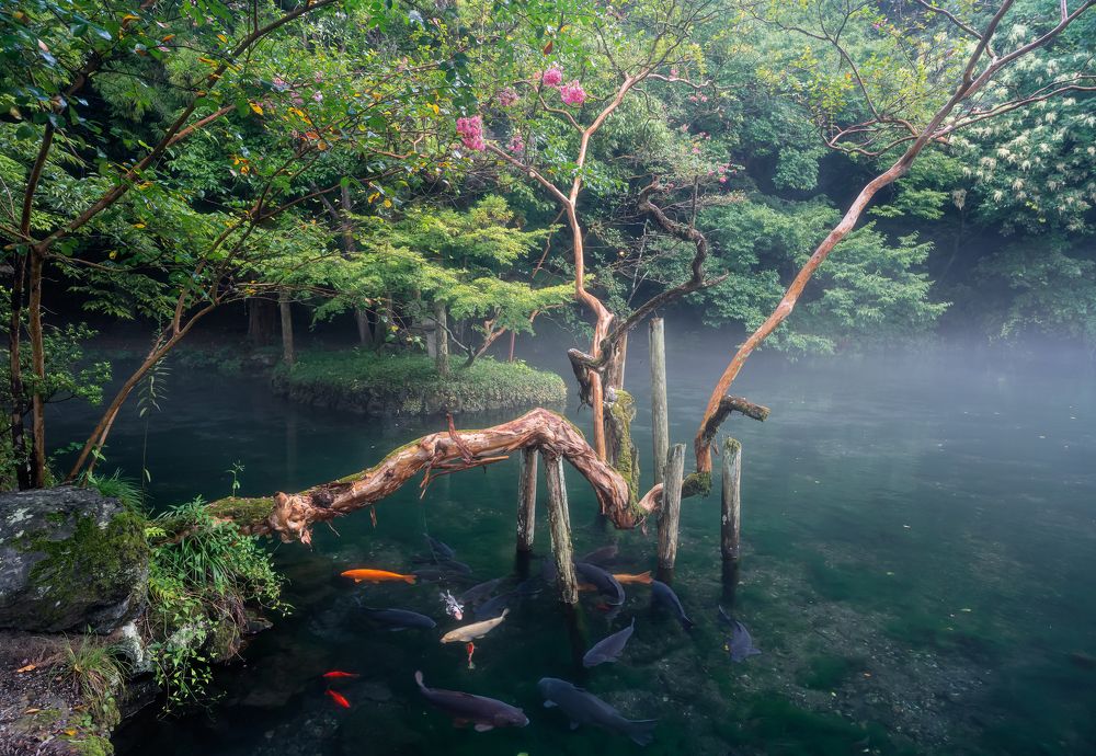 Photograph by Manh Cuong Truong