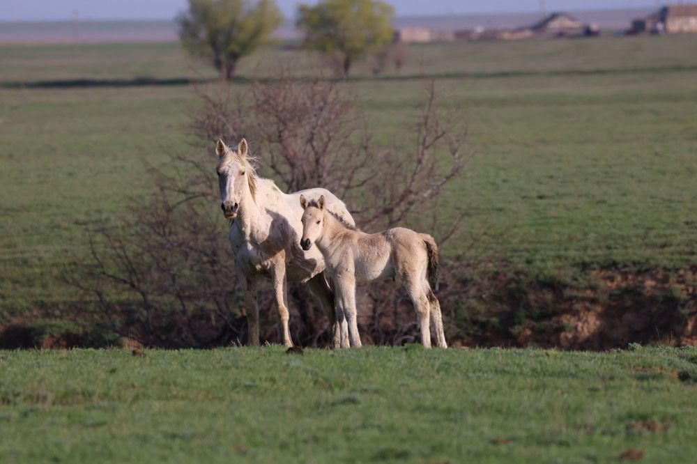 Photograph by Одаренко Ольга