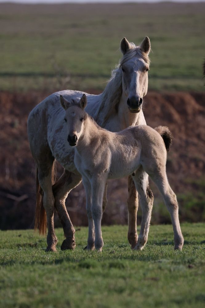 Photograph by Ольга Одаренко