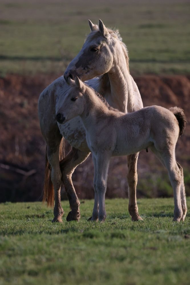 Photograph by Ольга Одаренко