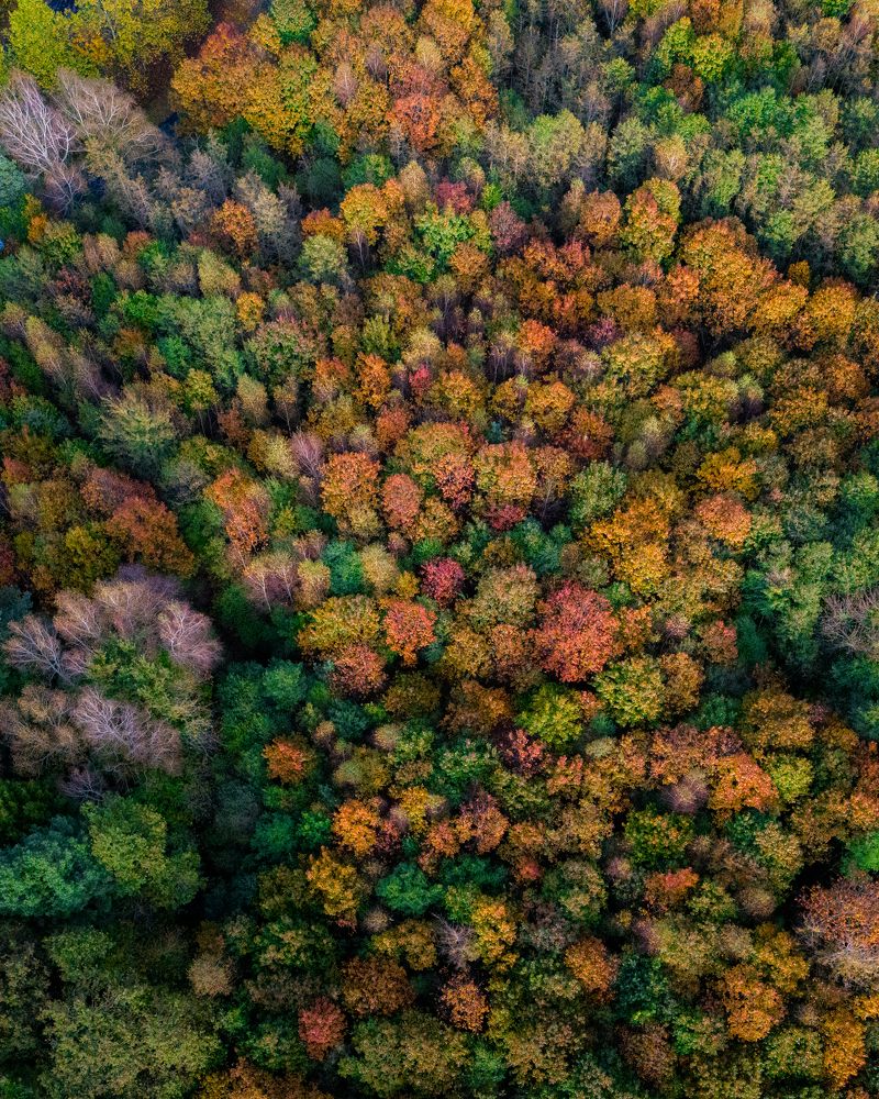 Photograph by François Charbonnel