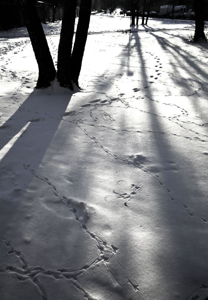 Photograph by Александр Зарх