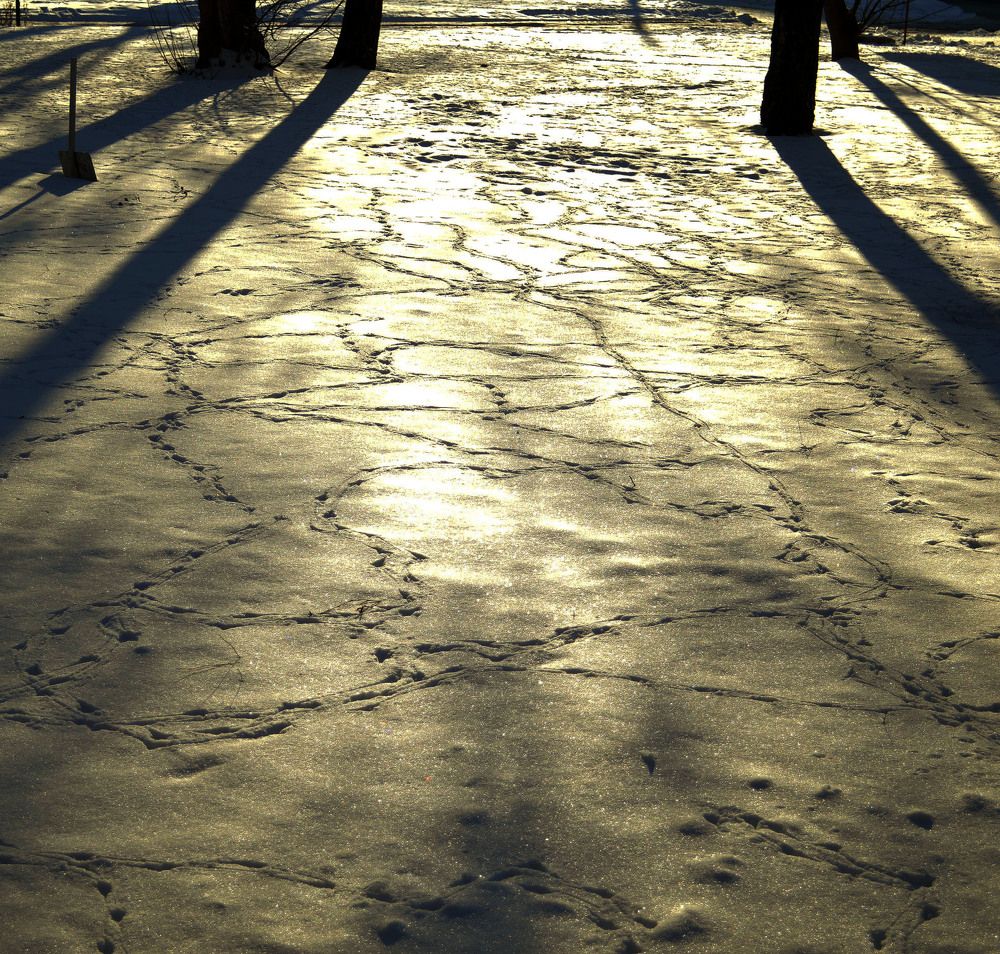 Photograph by Александр Зарх