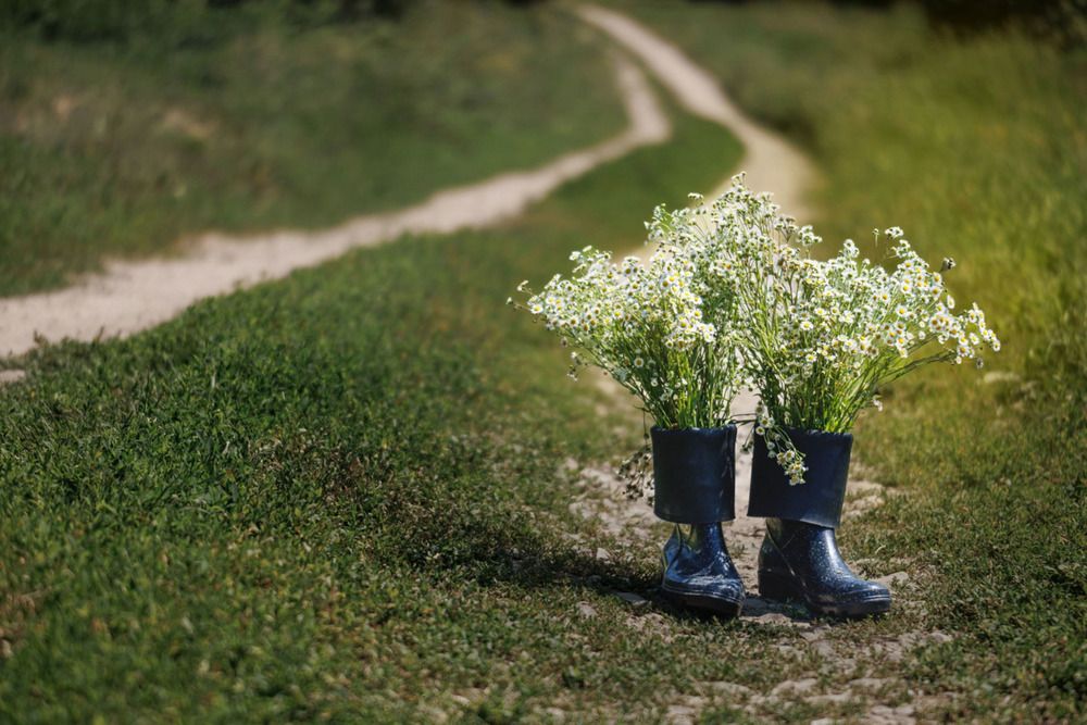 Photograph by Ольга Чибисова