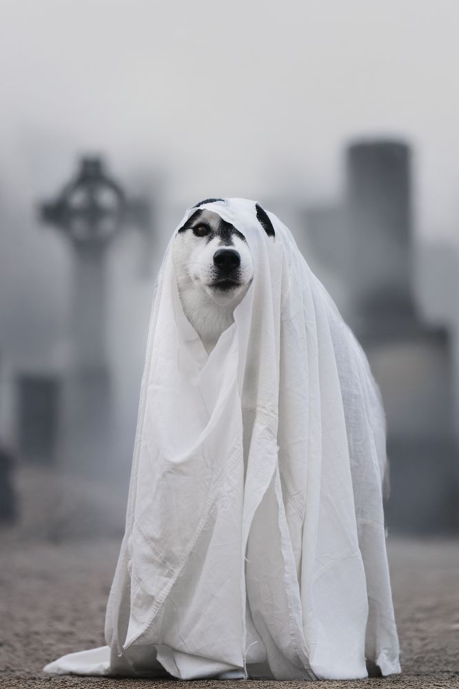 Photograph by Erika Tsogoeva