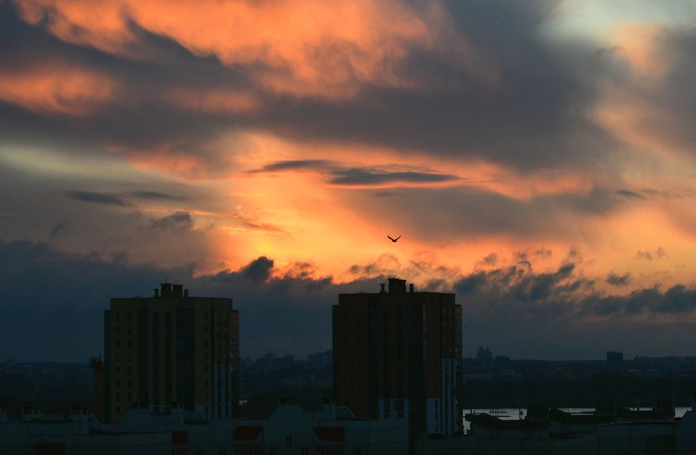 Фотография автора Антип