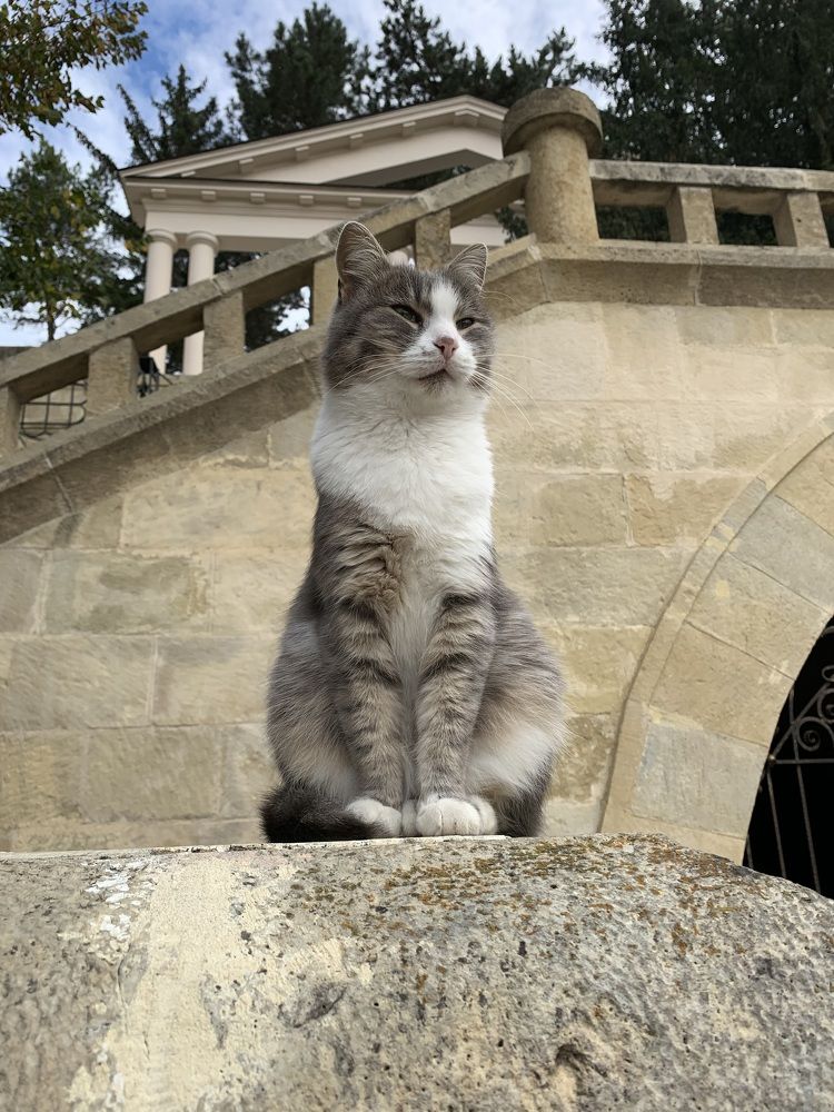 Директор парка