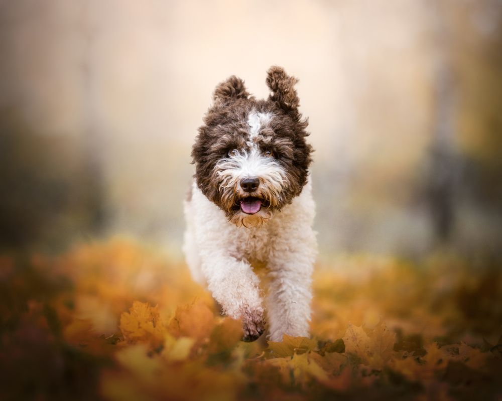 Photograph by Dmitry Ishniyazov