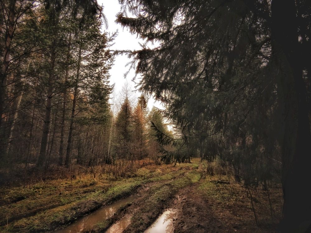 Фотография автора Екатерина Солохина